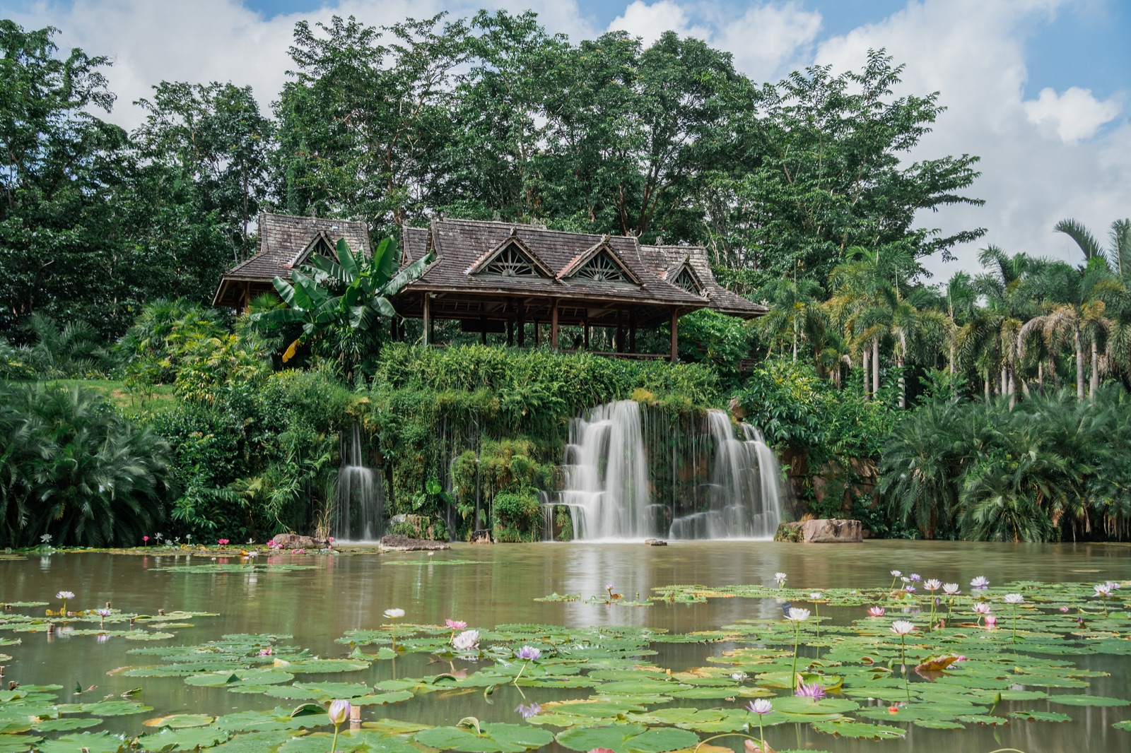 中科院西双版纳热带植物园